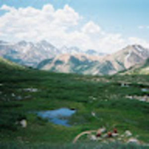 Meet your Posher, Allen